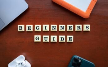 Types of Business: An Overall Guide for Beginners